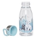 Trinkflasche Arktis