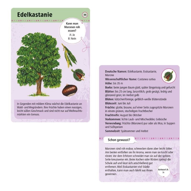 Expedition Natur 50 essbare Wildpflanzen