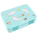 Znünibox Bearfoot Compact Delfin gross