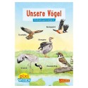 Pixi Wissen Unsere Vögel
