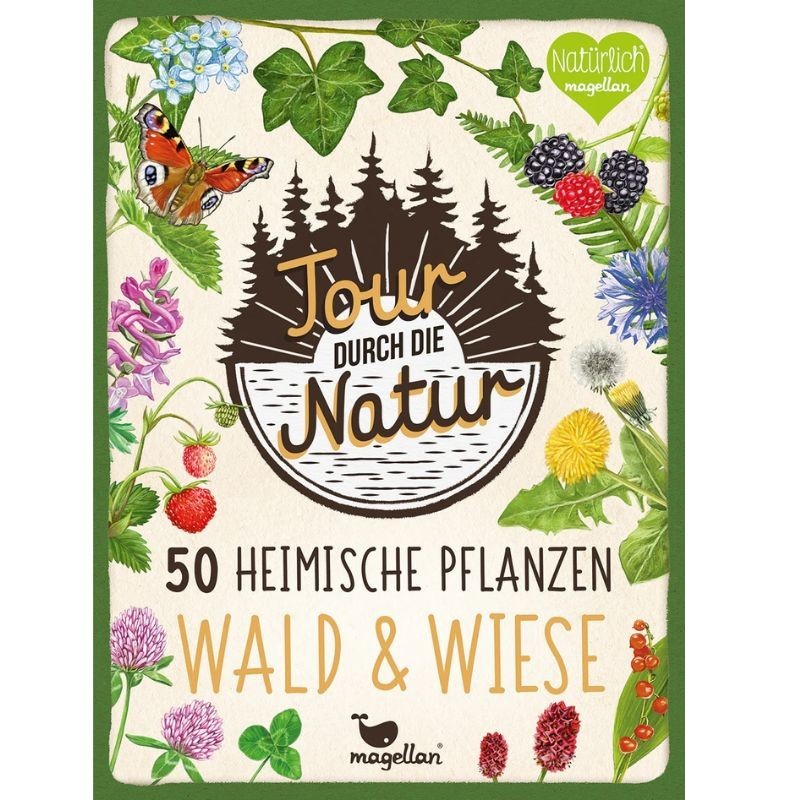 50 heimische Pflanzen Wald & Wiese
