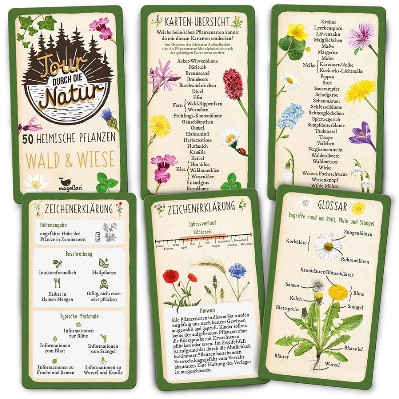 50 heimische Pflanzen Wald & Wiese