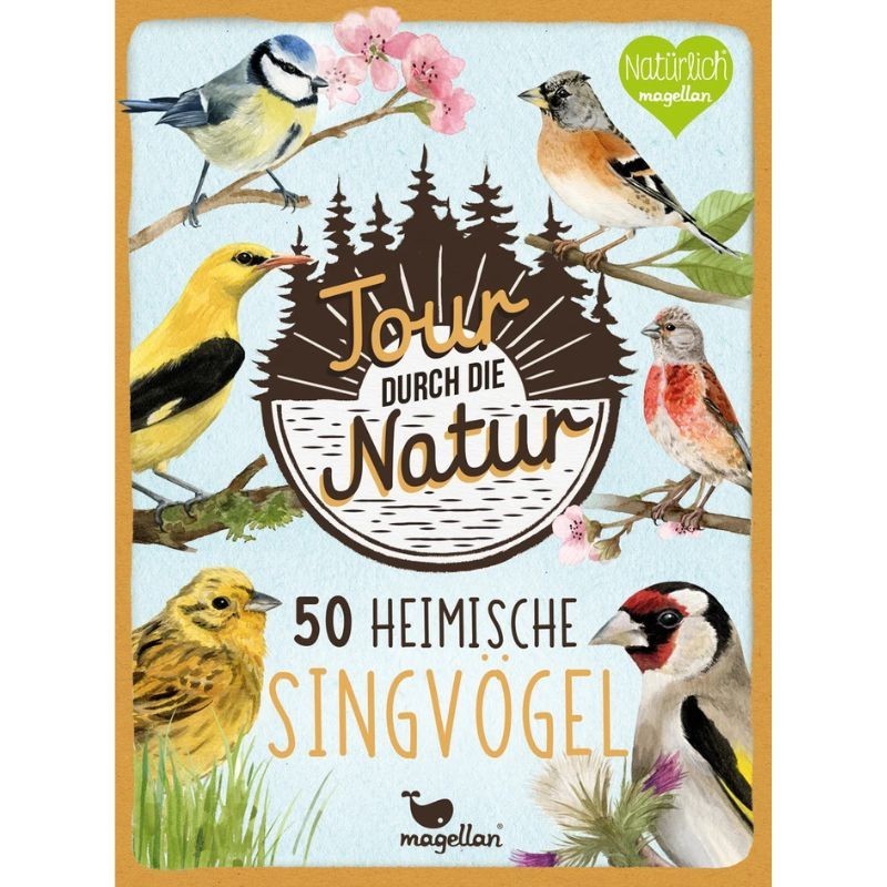 50 heimische Singvögel