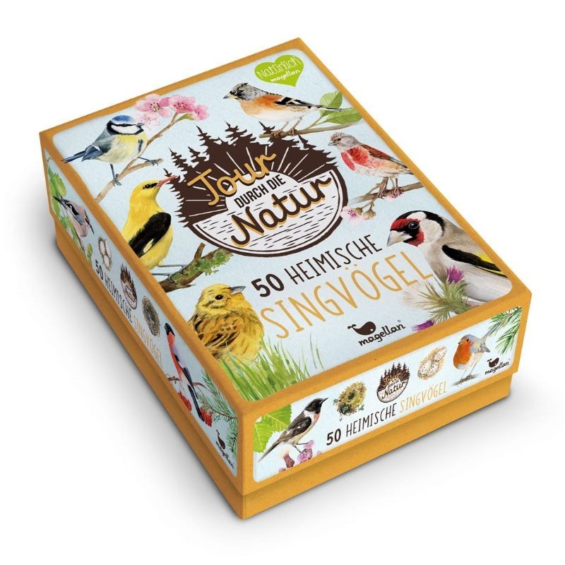 50 heimische Singvögel