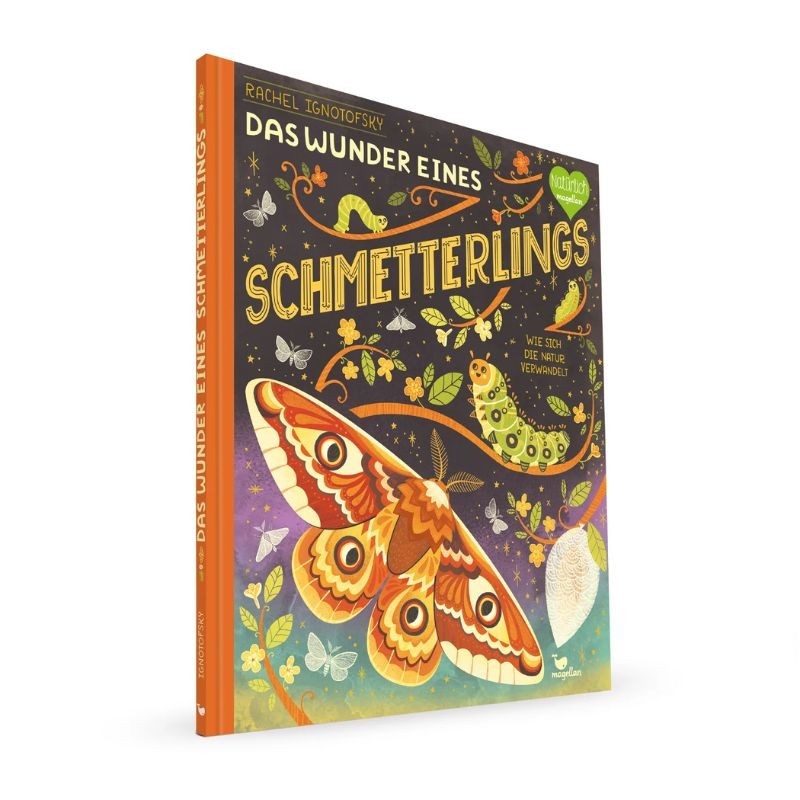 Das Wunder eines Schmetterlings