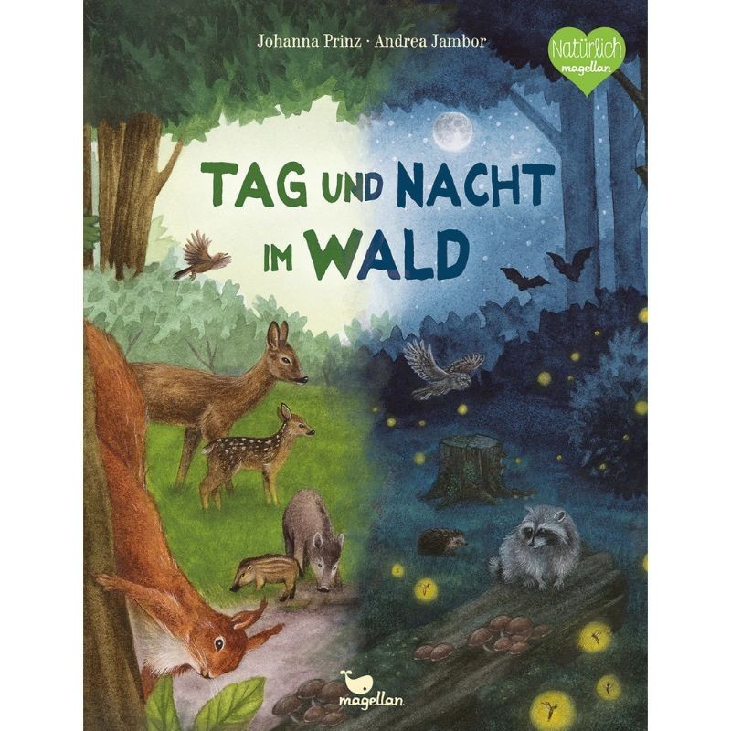 Tag und Nacht im Wald