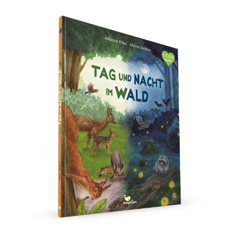 Tag und Nacht im Wald