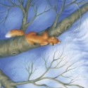 Der kleine Igel und der turbulente Weihnachtstag