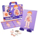 Magnetspiel Anatomie des Menschens