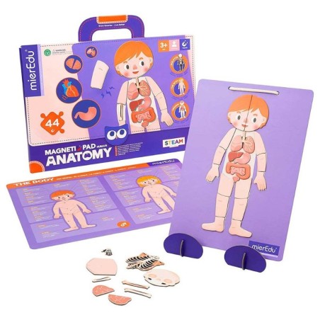 Magnetspiel Anatomie des Menschens