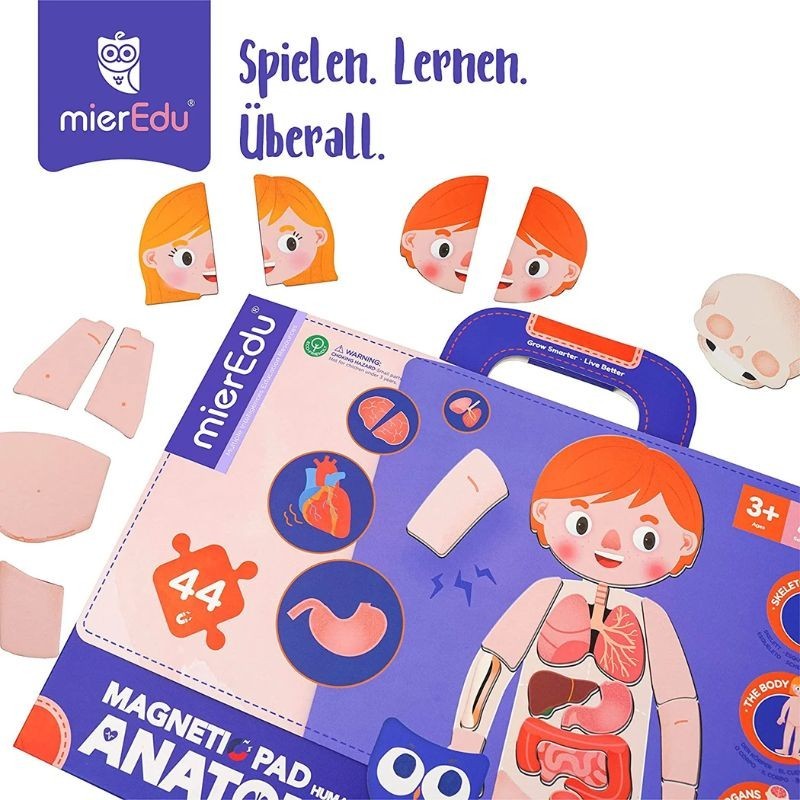 Magnetspiel Anatomie des Menschens