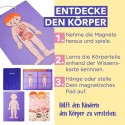 Magnetspiel Anatomie des Menschens
