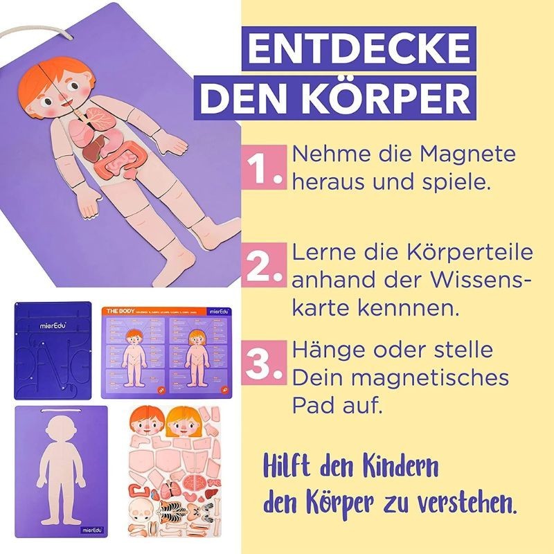 Magnetspiel Anatomie des Menschens
