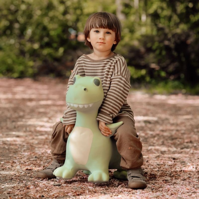 Hüpftier Dino Dexter
