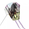 Taschendrache Pferd