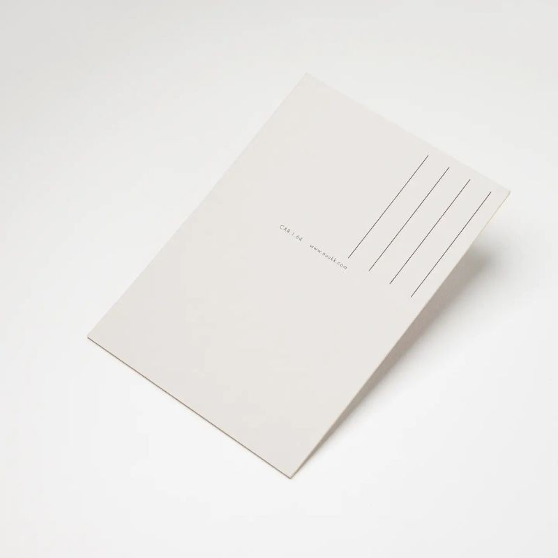 Postkarte Löwe