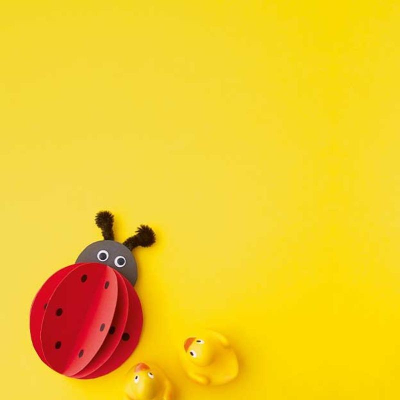Die grosse Kinderbastelbox