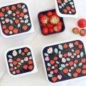 Znünibox Set Erdbeeren