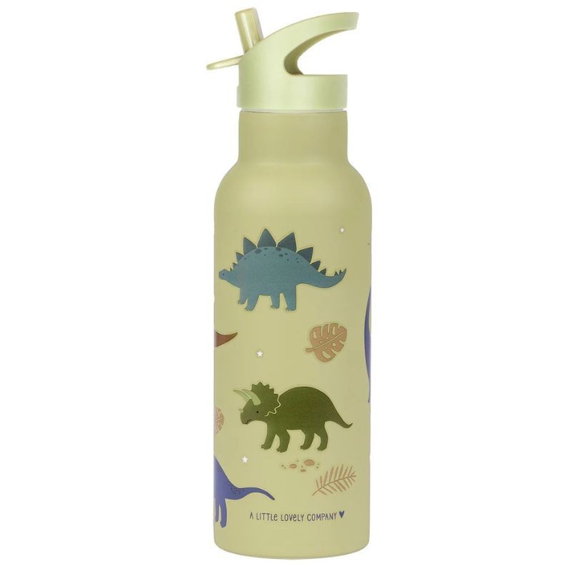 Trinkflasche Edelstahl Dinosaurier 500ml