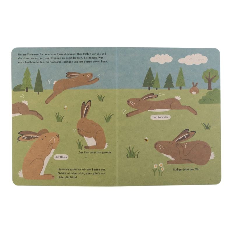 Ich bin der Hase