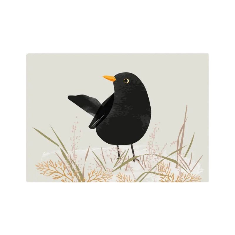 Postkarte Amsel