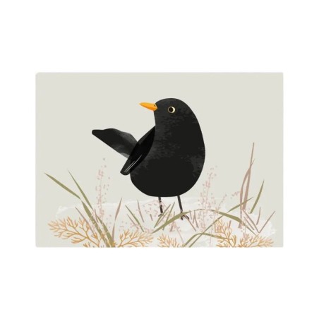 Postkarte Amsel