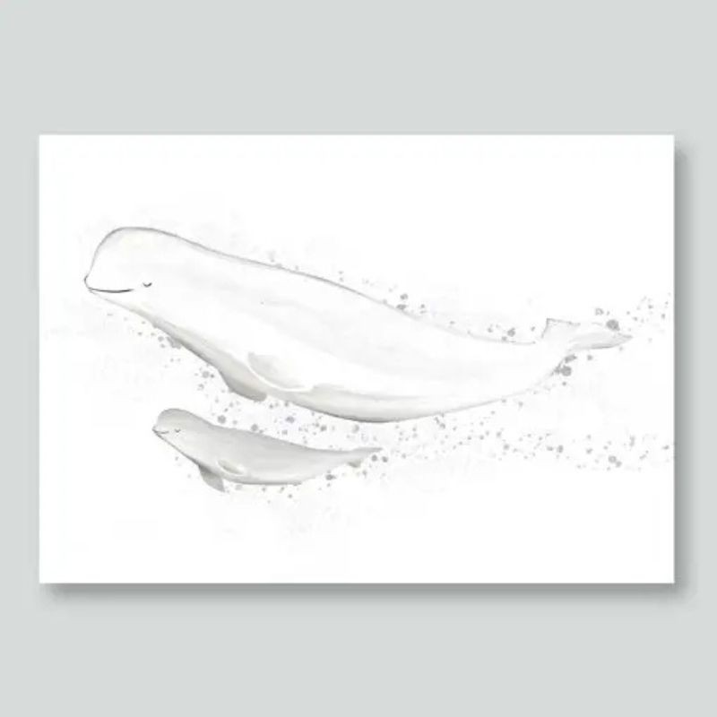 Postkarte Weisswal Beluga