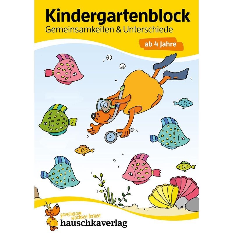 Kindergartenblock Gemeinsamkeiten & Unterschiede
