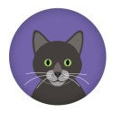 Magnet Katze