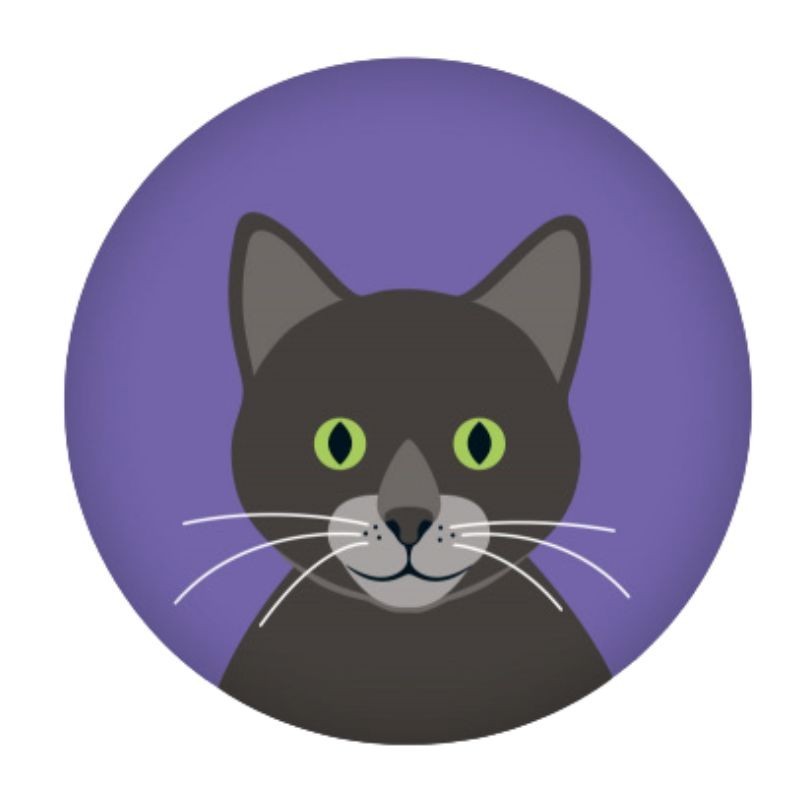 Magnet Katze