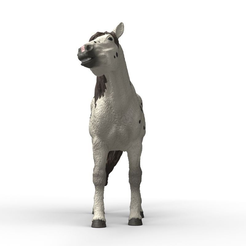 Schleich Pferd Knabstrupper Wallach