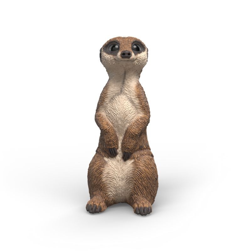Erdmännchen