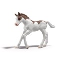 Schleich Horse Club Sammelfohlen Dipper