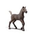 Schleich Horse Club Sammelfohlen Darcy