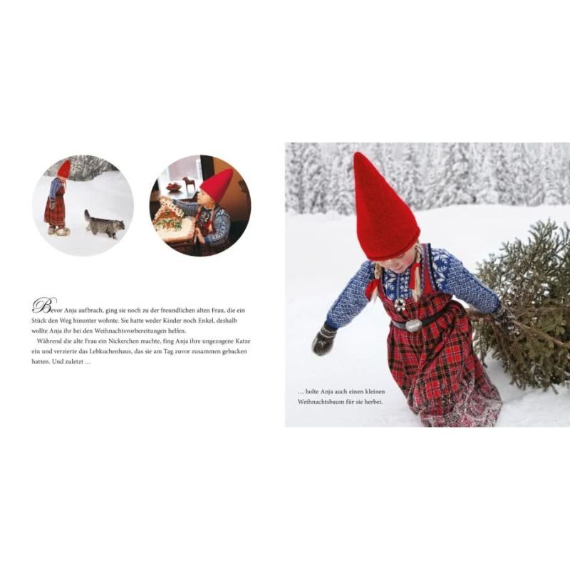 Die wundersame Weihnachtsreise Maxi Pixi