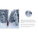 Die wundersame Weihnachtsreise Maxi Pixi