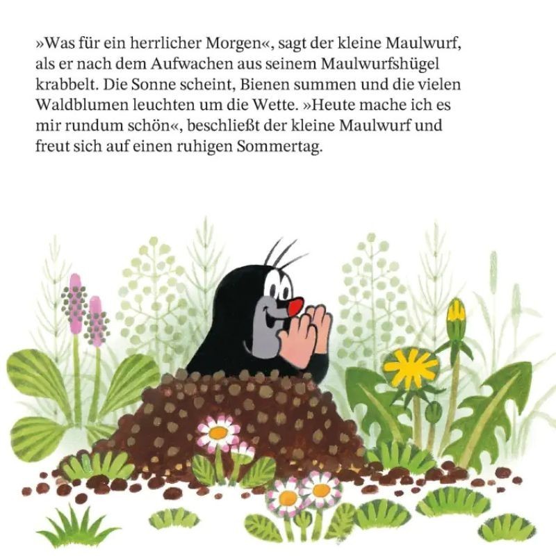 Ein Tag mit dem kleinen Maulwurf Maxi Pixi