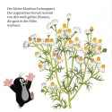 Ein Tag mit dem kleinen Maulwurf Maxi Pixi