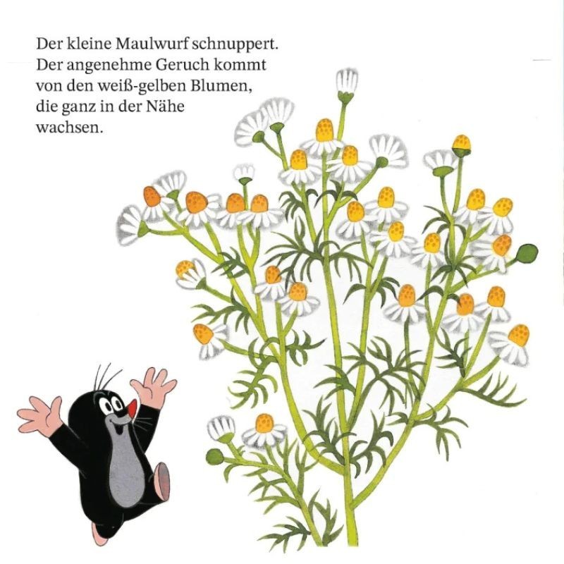Ein Tag mit dem kleinen Maulwurf Maxi Pixi