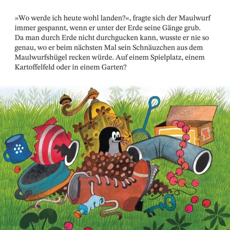 Der kleine Maulwurf und der Regenschirm Maxi Pixi