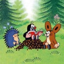 Der kleine Maulwurf und der Schatz im Wald Maxi Pixi