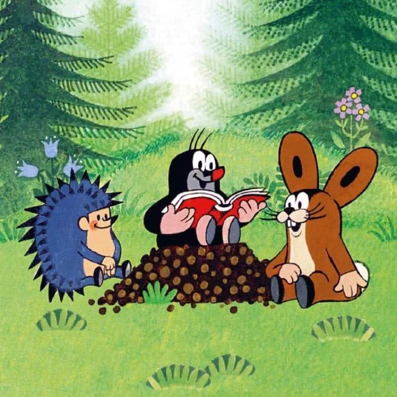 Der kleine Maulwurf und der Schatz im Wald Maxi Pixi
