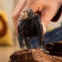 Schleich Tier Schimpanse