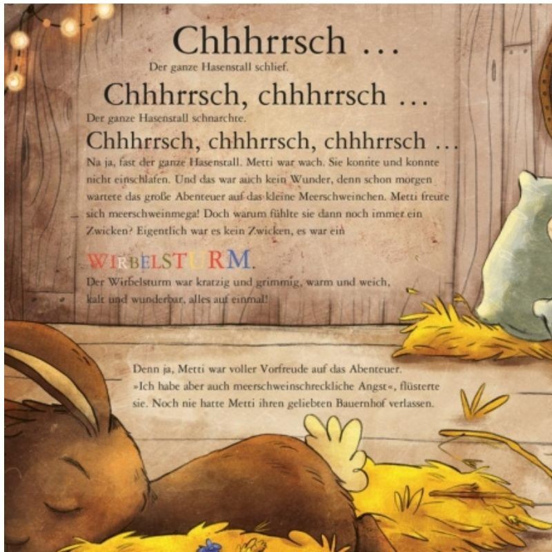 Metti Meerschwein und das grosse Abenteuer