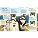 Was für Sachen Pinguine machen