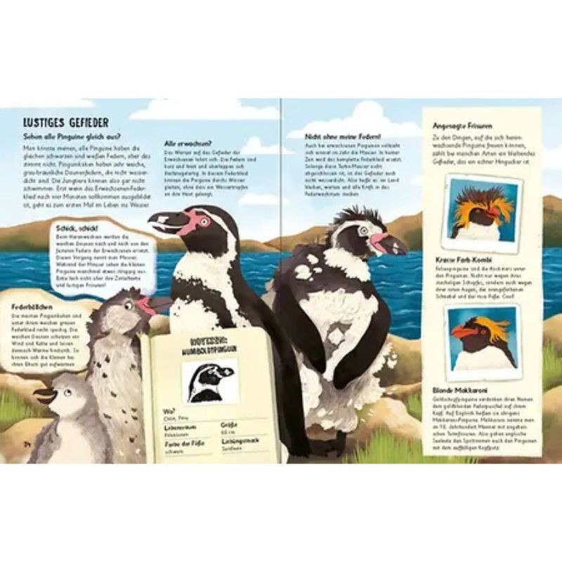 Was für Sachen Pinguine machen