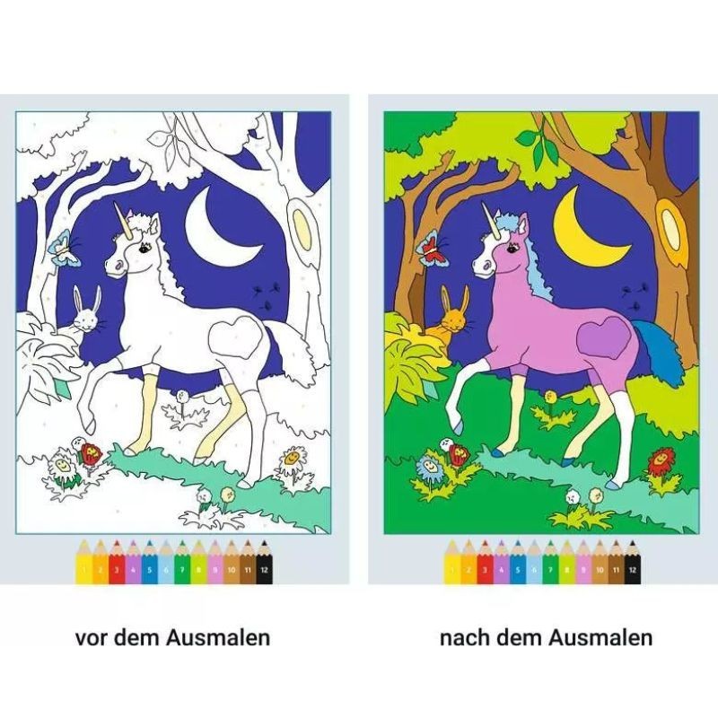 Malen nach Zahlen Feen und Elfen
