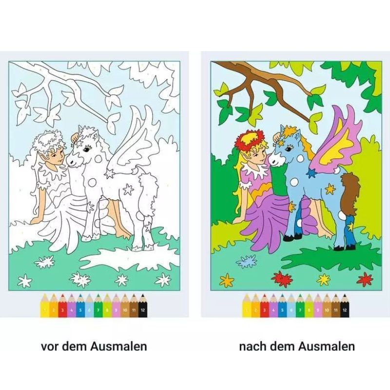 Malen nach Zahlen Feen und Elfen
