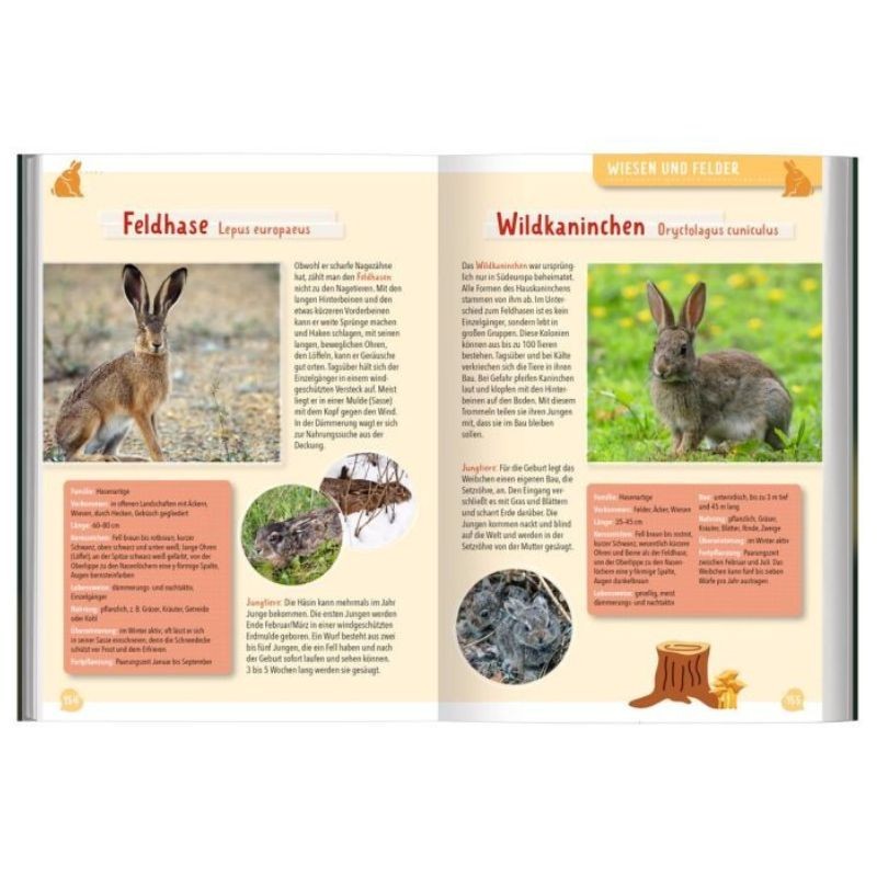 Mein grosser Naturführer Tiere & Pflanzen