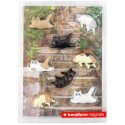 Magnete Katzen Lazy Cats